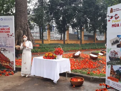 Hà Nội: Chương trình du lịch ‘Bác Cổ - Mùa hoa gạo’ thu hút du khácH