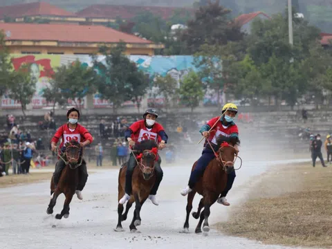 Lào Cai: Sắp diễn ra Festival Cao nguyên trắng Bắc Hà với nhiều hoạt động hấp dẫn