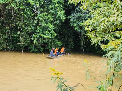 Gia Lai: Đến nhà ngoại chơi, hai cháu nhỏ bị đuối nước thương tâm