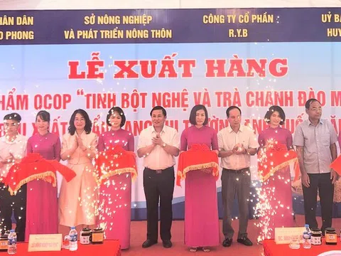 Hòa Bình: xuất khẩu OCOP tinh bột nghệ và trà chanh đào mật ong sang Anh Quốc lần đầu