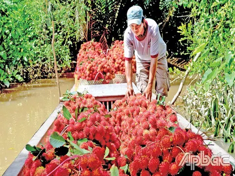 Tiền Giang: Cù lao Tân Phong - vùng đất của những đặc sản