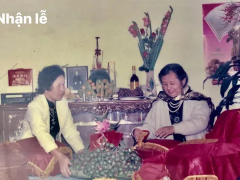 Hà Nội mùa chim làm tổ