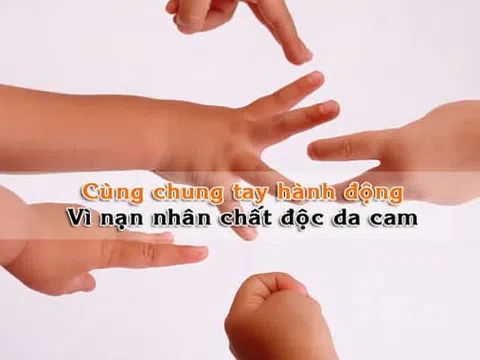 Từ nơi cây rừng trụi lá (Tâm sự Cựu chiến binh)