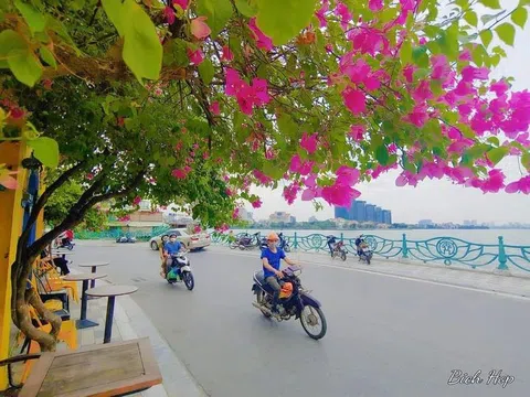 Đường Hà Nội mùa thu