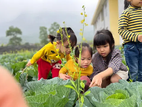 Phú Thọ: Nhiều trường học ở Thanh Sơn tạo nguồn rau sạch an toàn cho bữa ăn bán trú