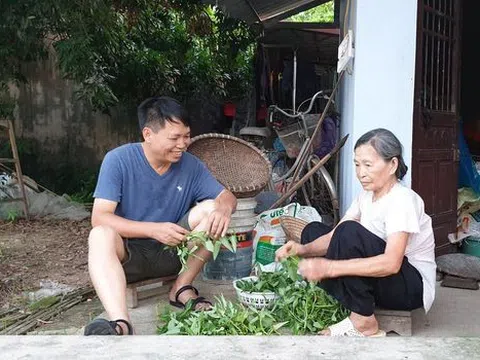 Bố mẹ tôi đã quen nhau và cưới nhau như thế