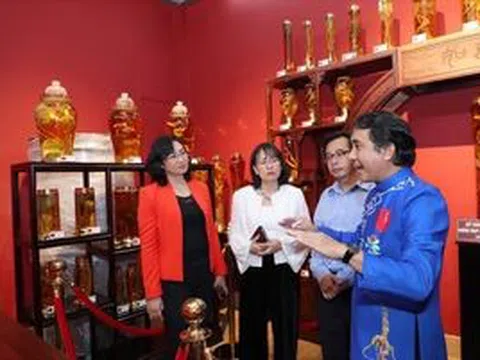 Một thoáng Bảo tàng Sâm Ngọc Linh