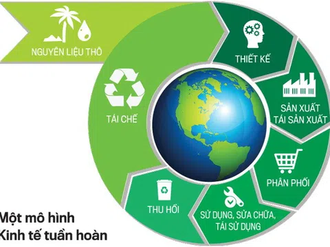 Văn hoá kinh tế chính trị phát triển - Thực chất, định nghĩa và nhận thức