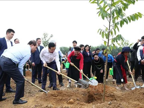 Chủ tịch nước: "Mỗi cây được trồng là món quà vô giá gửi đến tương lai cho thế hệ mai sau"