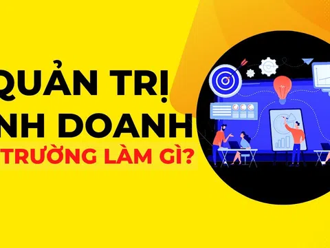 Ngành Quản trị kinh doanh: Học gì, ở đâu, và cơ hội nghề nghiệp