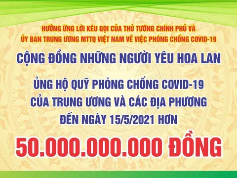 Cộng đồng những người yêu hoa lan Việt Nam quyên góp trên 50 tỷ cho công tác phòng chống COVID19